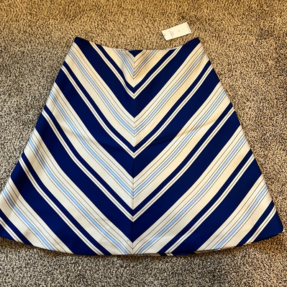 Banana Republic Skirt